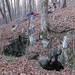 Sharon Melton Photo 21