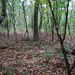 Lawrence Hicks Photo 28