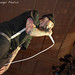 Robert Mccoy Photo 24