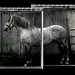 Susan Vito Photo 9