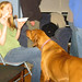 Beth Cook Photo 23