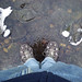 Dale Merrell Photo 15