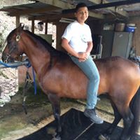 Edgardo Rodriguez Photo 45