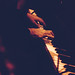 Joey Guthrie Photo 15