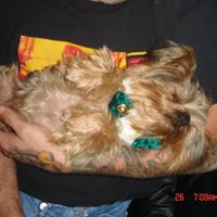 Raymond Schultz Photo 32