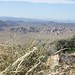 Ryan Peak Photo 14