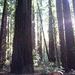 Debby Plummer Photo 16
