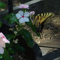 Kathleen Lowe Photo 31