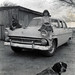 Susan Speck Photo 16
