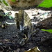 Christopher Hargis Photo 16