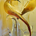 Thomas Murano Photo 9