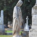 Mary Whitehill Photo 13