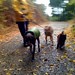 Becky Foster Photo 9