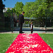 Cathy Simons Photo 19