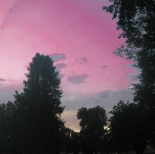 Will Clark Photo 9