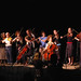 Amy Strauss Photo 15