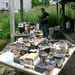 Kathleen Ware Photo 10