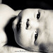 Robin Santangelo Photo 8