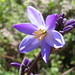 Flora Avila Photo 8