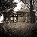 Lemuel Sharp Photo 8