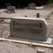 Celia Williamson Photo 25