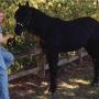 Tabatha Henderson Photo 18