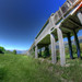 Alan Wasser Photo 6