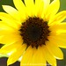 Laura Broussard Photo 28