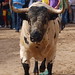 Luis Osborne Photo 12