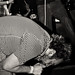 Jamie Longworth Photo 13