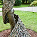 Betty Newman Photo 31