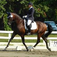 Carol Conner Photo 25