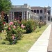 Mary Atchison Photo 30