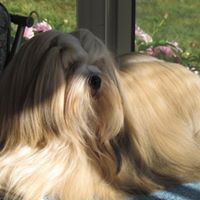 Cheryl Zink Photo 13
