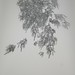 Sarah Laing Photo 24