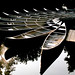 Virginia Swain Photo 22