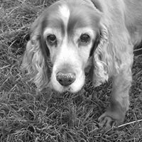 Vicky Abbott Photo 18