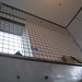 Thomas Stringer Photo 26