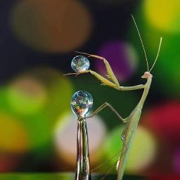 Robyn Rich Photo 31