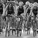 Kathy Shoemaker Photo 19