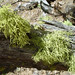 Robyn Wolf Photo 15
