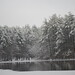 Harold Collins Photo 32