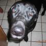 Sarah Ricker Photo 41