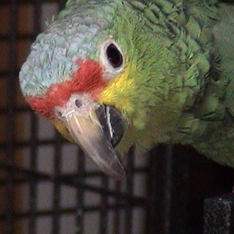 Marylou Jones Photo 9