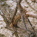 Christopher Schutte Photo 15