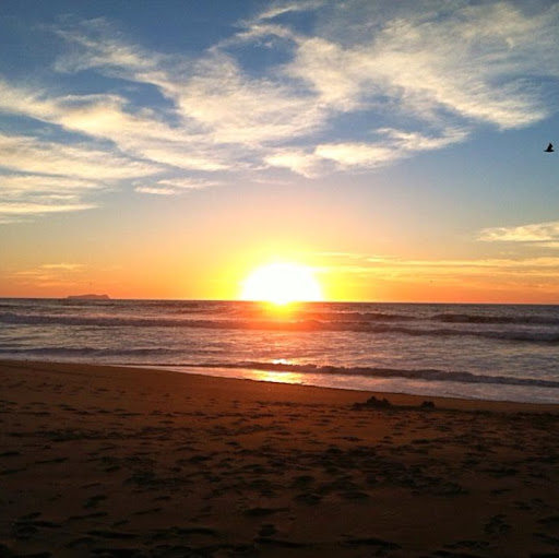 Steve Garcia Photo 42