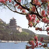 Ren Zheng Photo 2