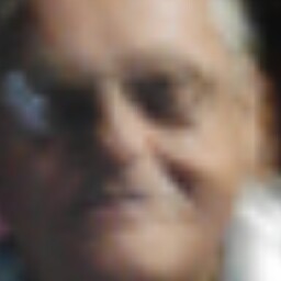 Wayne Mattson Photo 18