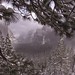 Harold Winters Photo 8