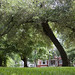 Lee Davidson Photo 37